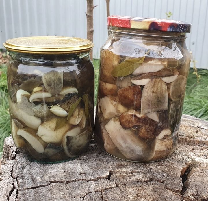 Маринованные  белые грибы