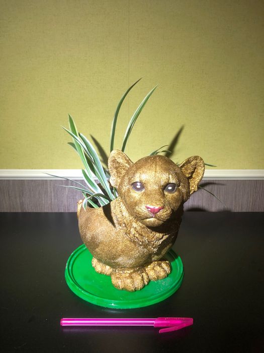 Хлорофитум в ретрогоршочке