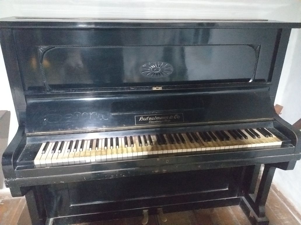 Muzikaniy piyanina