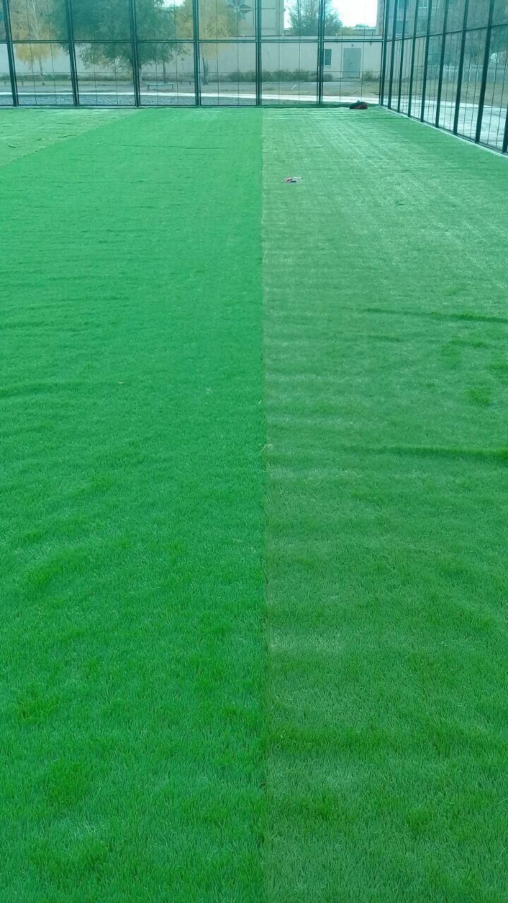 Газон искусственный спортивная трава спортивный газон Зелёная трава.