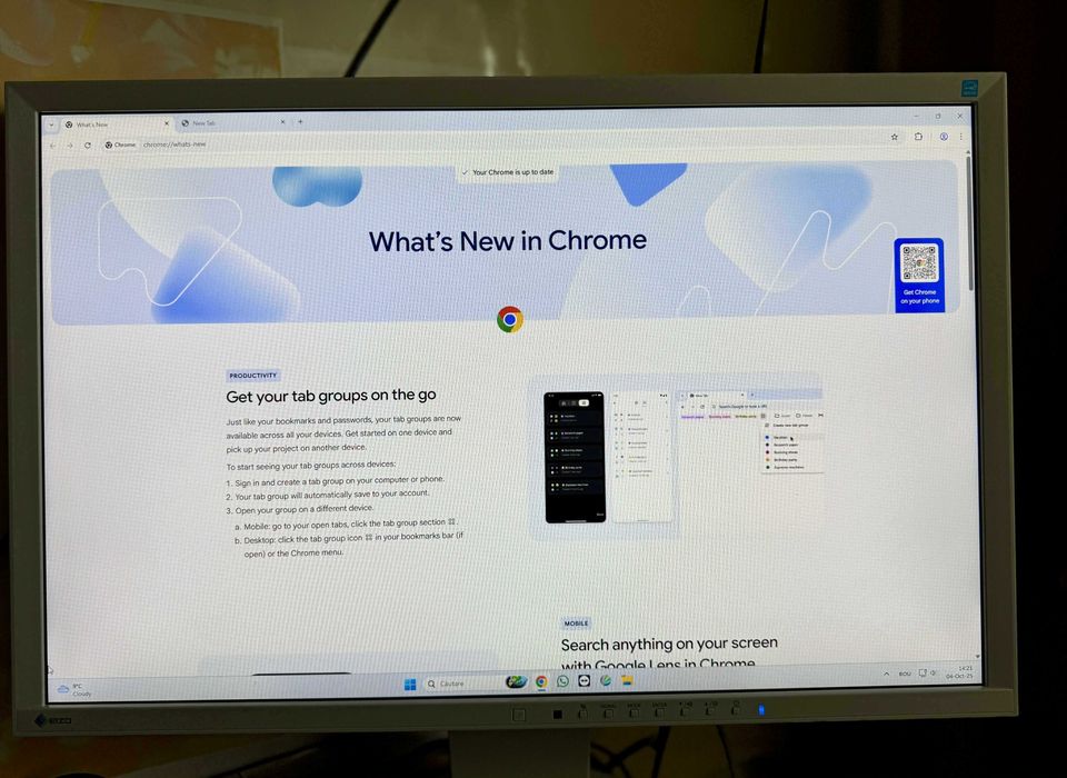 EIZO FlexScan EV2316W-monitor profesional cu display IPS