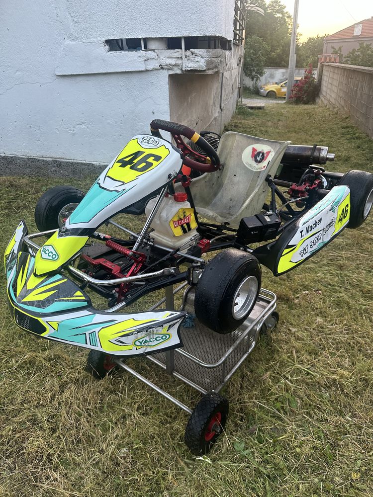 Картинг мини Wildkart Iame