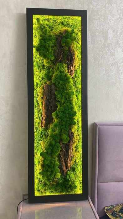 Панно из стабилизированного мха с подсветкой