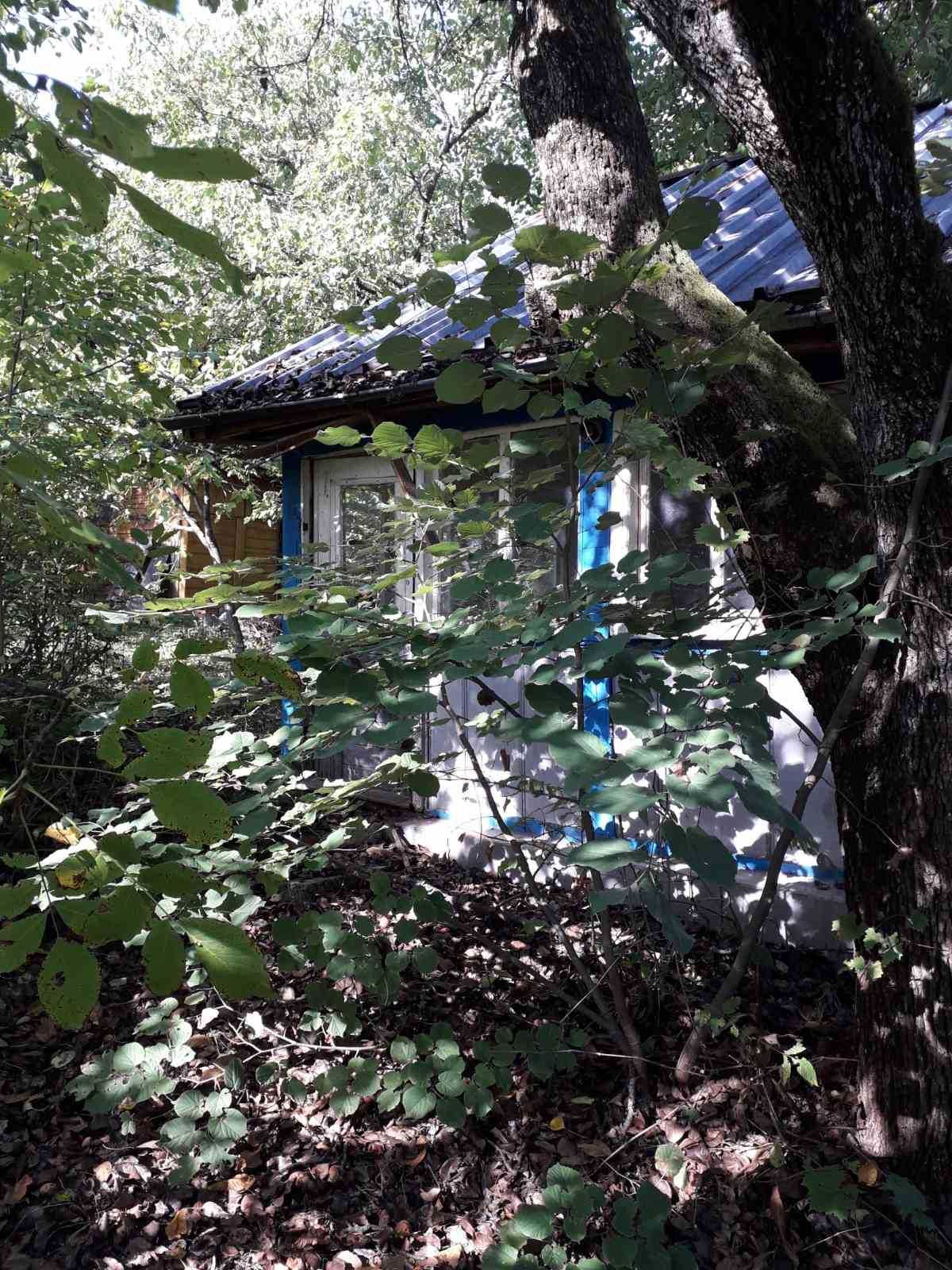 Лозе на 8км от Враца