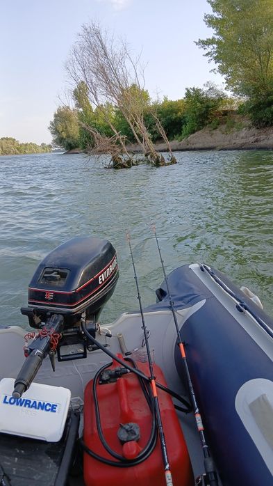 Barcă Honda t38 motor si sonar
