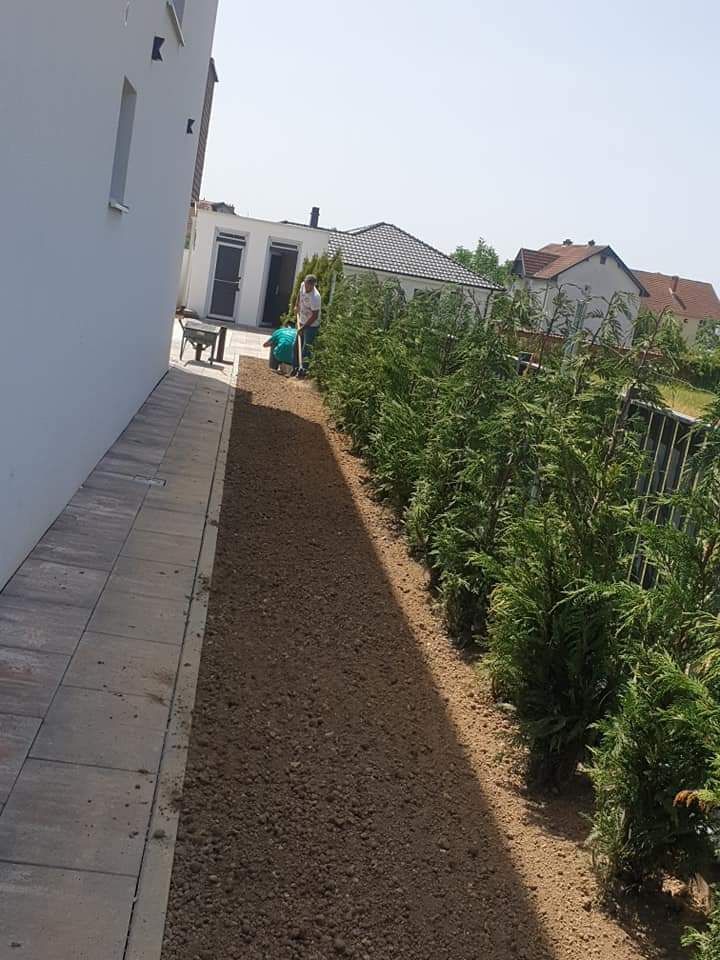 Amenajez gradini spați verzi