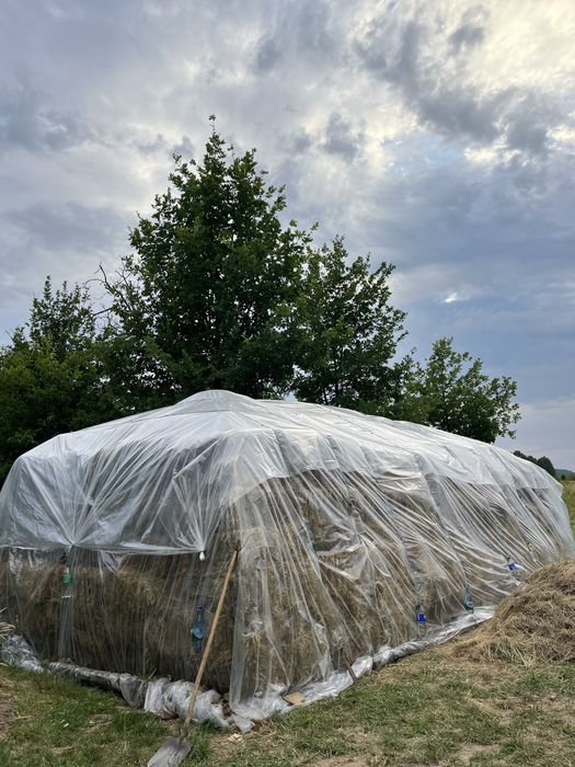 Vând boloți de fân 1000 de bucați