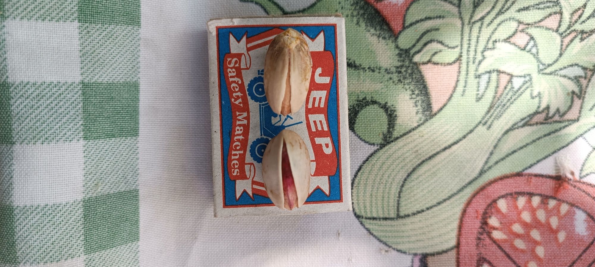 Pista kochatlar sotlad