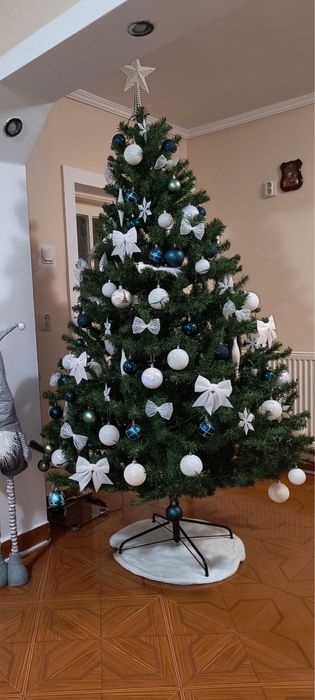 Brad de Craciun in stare impecabila