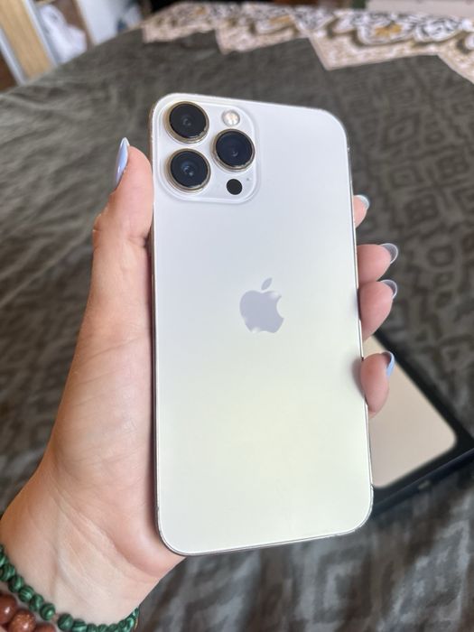 iPhone 13 Pro Max