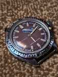 Ceas Vostok Amphibia