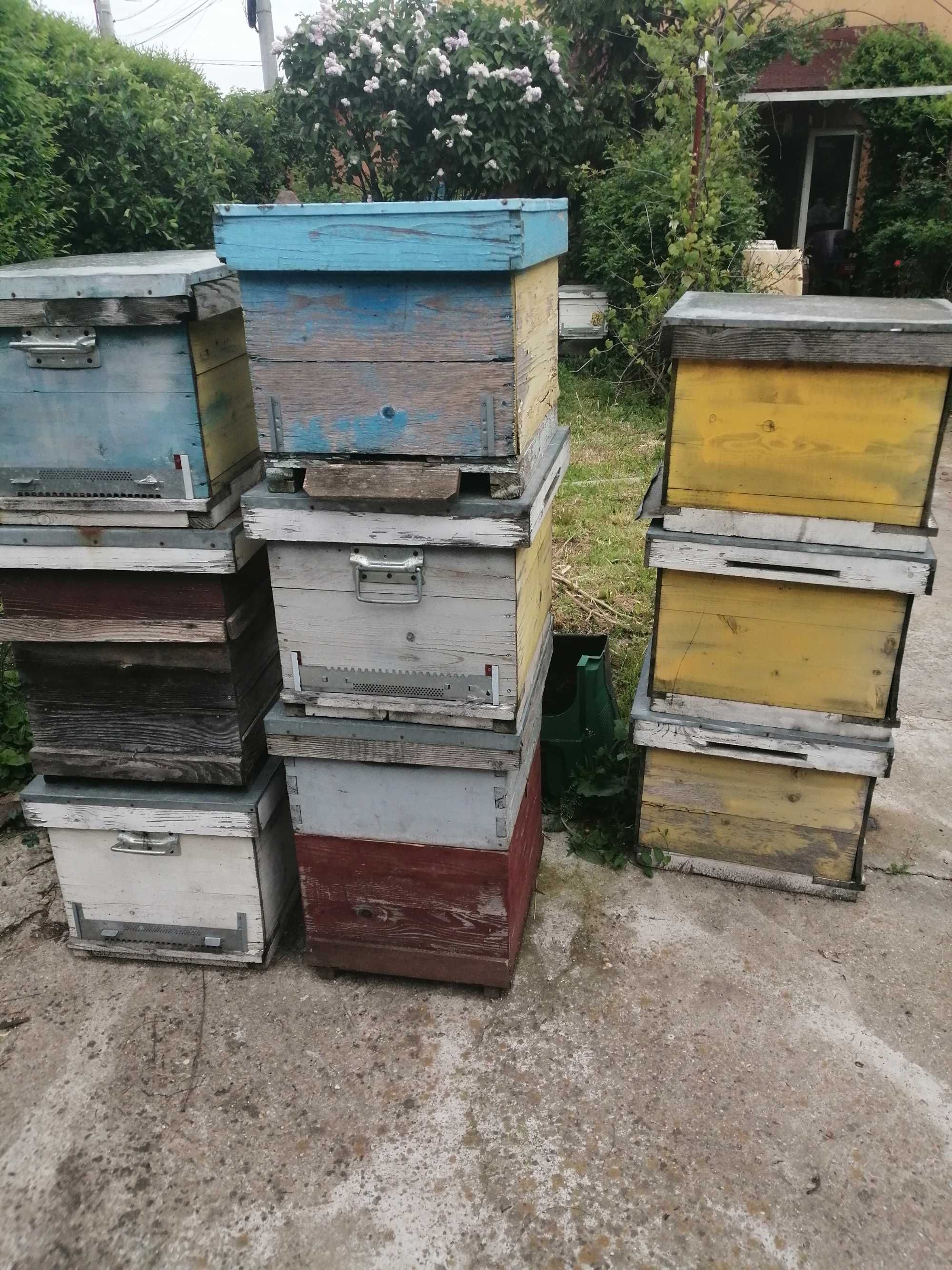 Cutii de stupi pentru albine