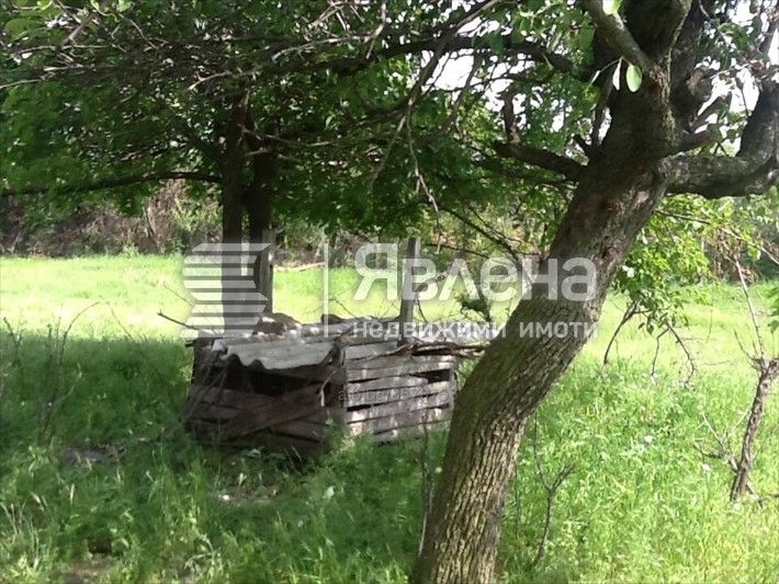 Продава се Парцел в с. Хаджиите, Област Бургас - 1925 кв.м за 11 €/кв.м - Снимка #1