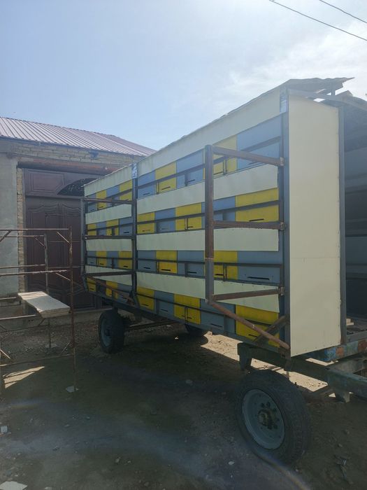 Asalari Pavilioni 72 ta oilaga mo'ljallangan.