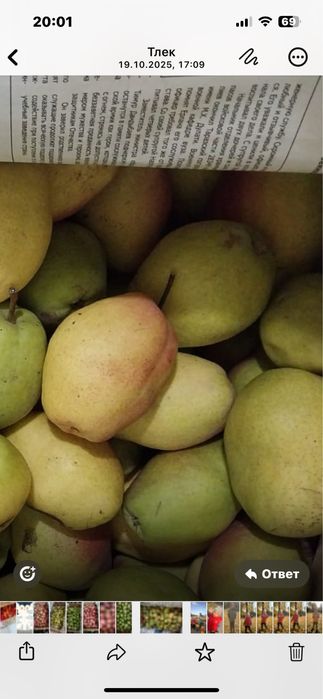 Груши и яблоки оптом