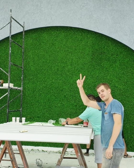 Фито стены Стабилизированный мох Озеленение