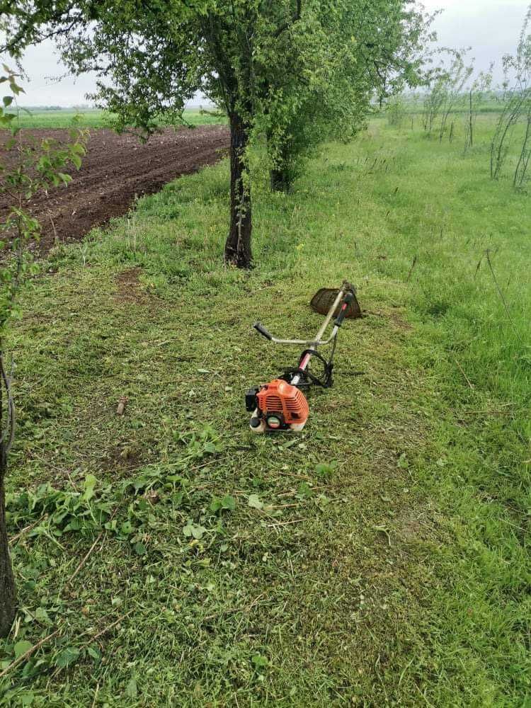 Tundem gazon iarbă bălări defrișăm ierbicidăm