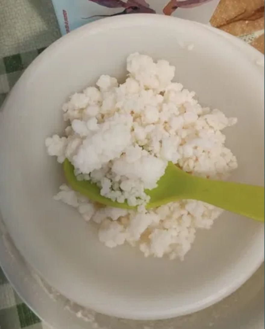 Ciupercă kefirului