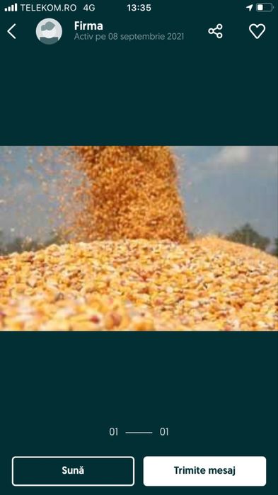 Porumb boabe recolta 2025