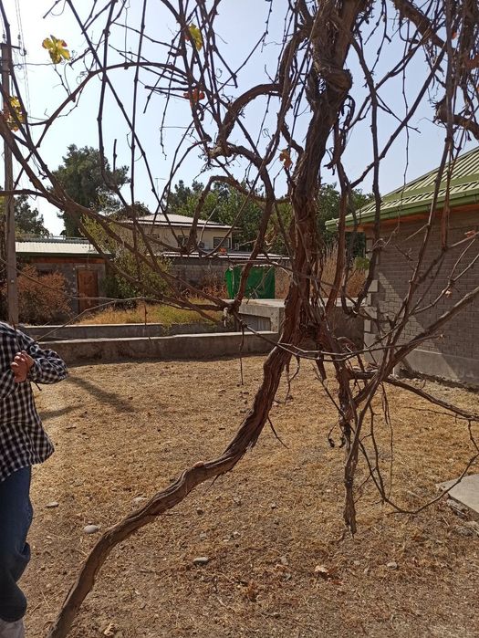 Продаётся дача, 12 соток!