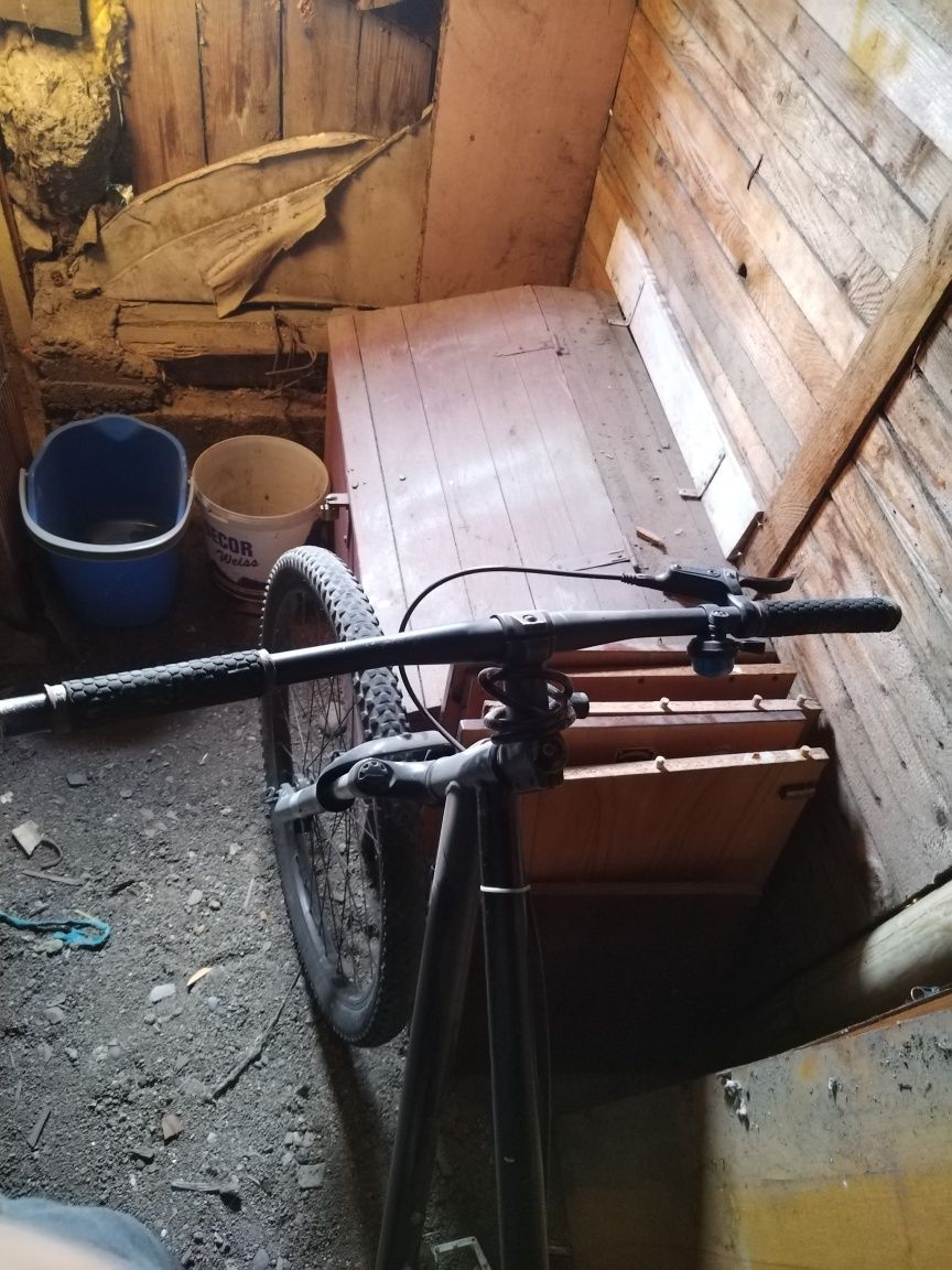 Bicicleta sergio bianchi nu mai are stikerele