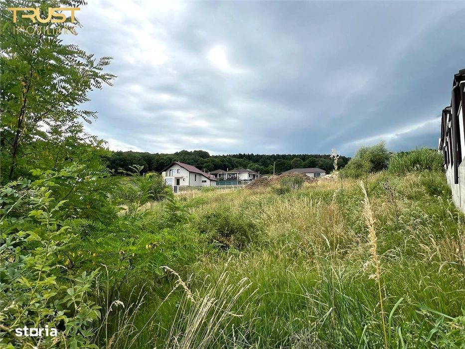 Teren Dealul Jelnei utilitati