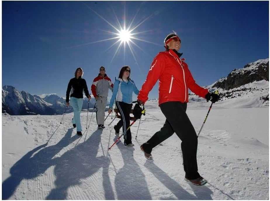 Baston trekking aluminiu maner din pluta si sistem anti-soc 64-135 cm