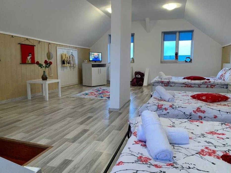 Vila casa cabana liber revelion craciun.Preturi in descriere anunt