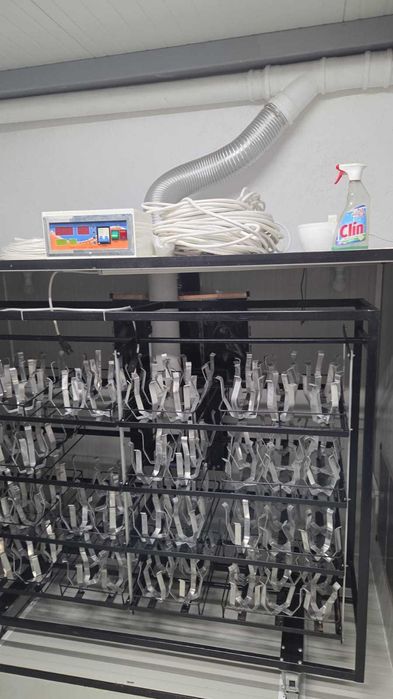 Incubator struti S120