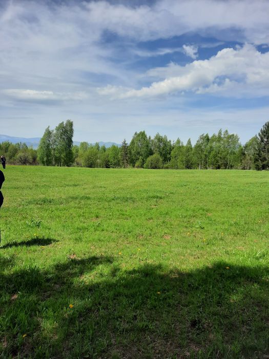 Vand teren extravilan Dealu Negru