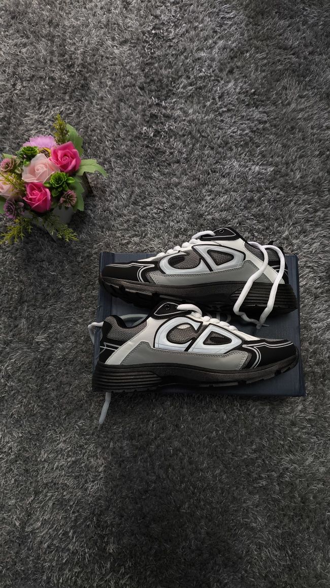 Dior b30 reflective, nike tn