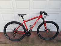 Bicicleta Focus 29