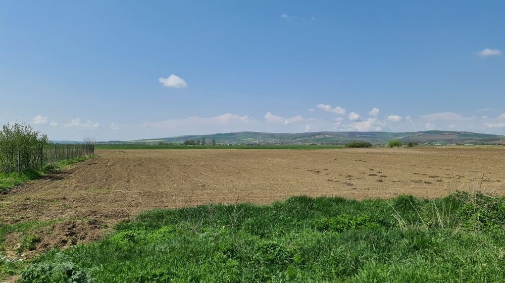 Vând teren extravilan este parcelat!