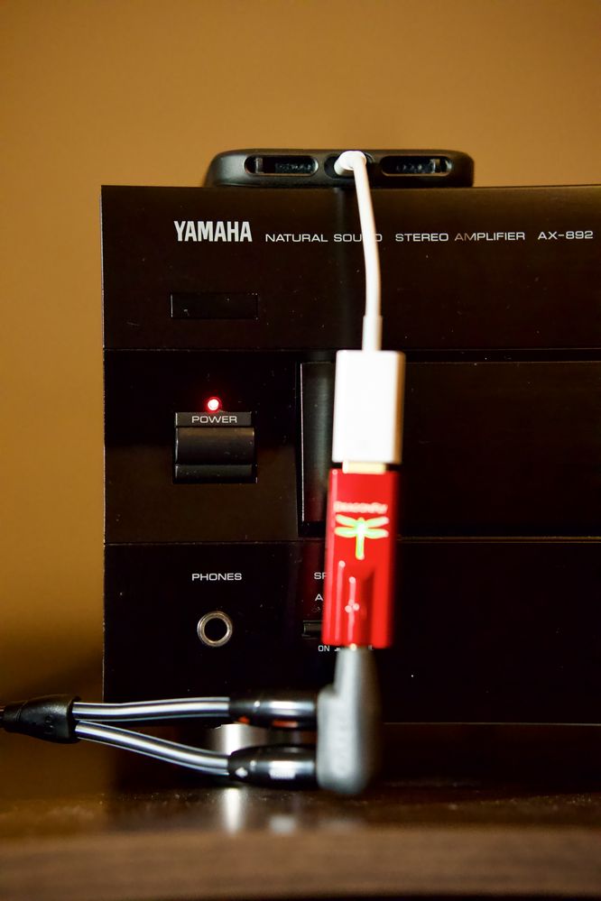 AudioQuest Dragonfly RED