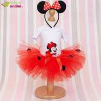 Set Rochiță Tutu – Minnie’s Little Heart