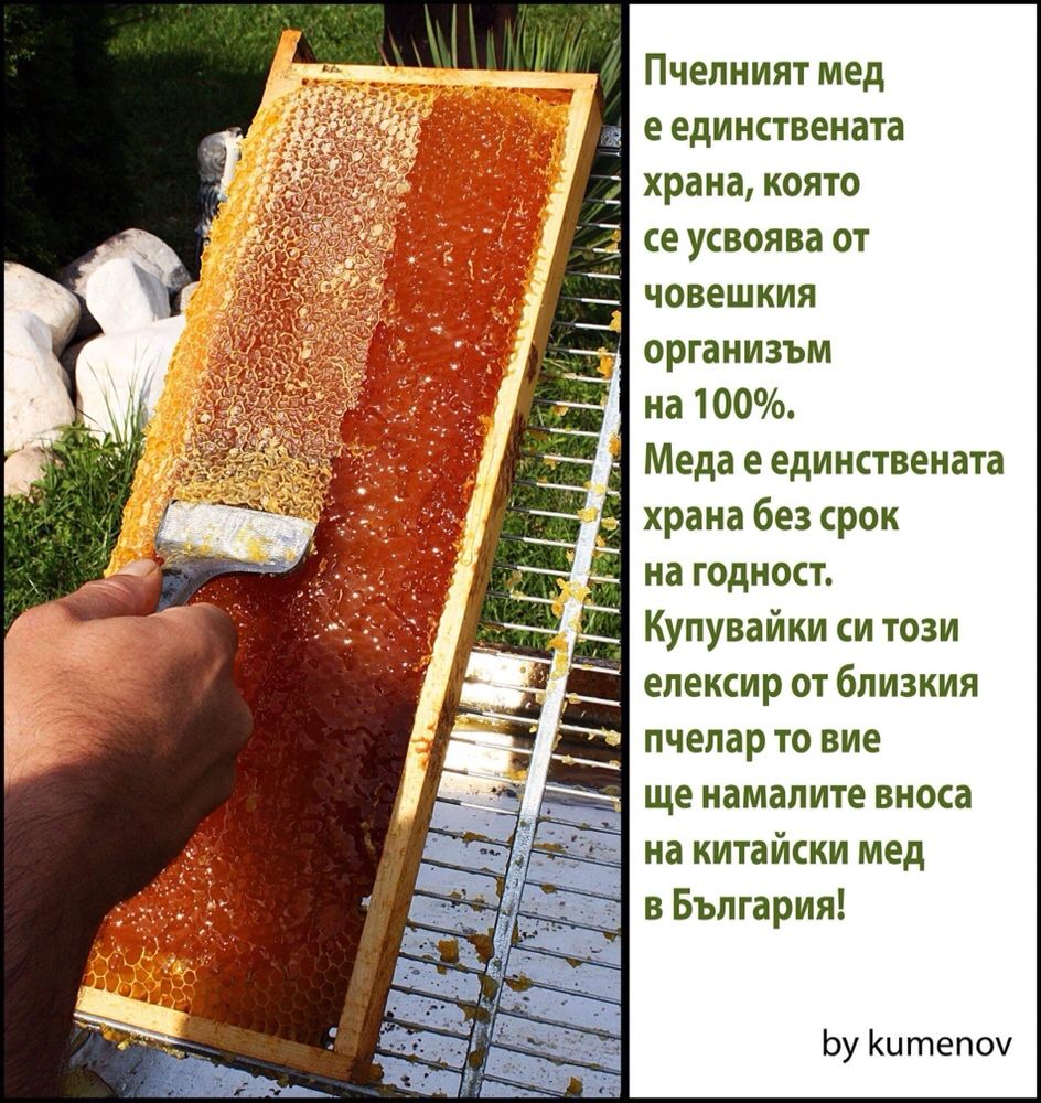 Пчелен прашец 2024г, за над 30кг -23лв/кг