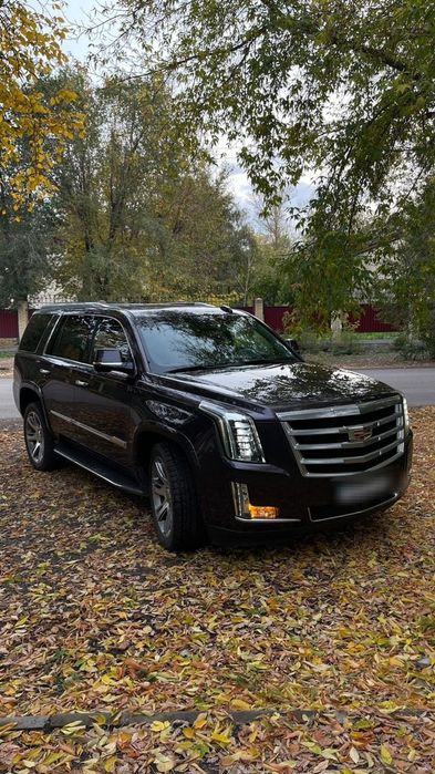 Аренда Авто/ С водителем/ Прокат машин/ PRIME Auto