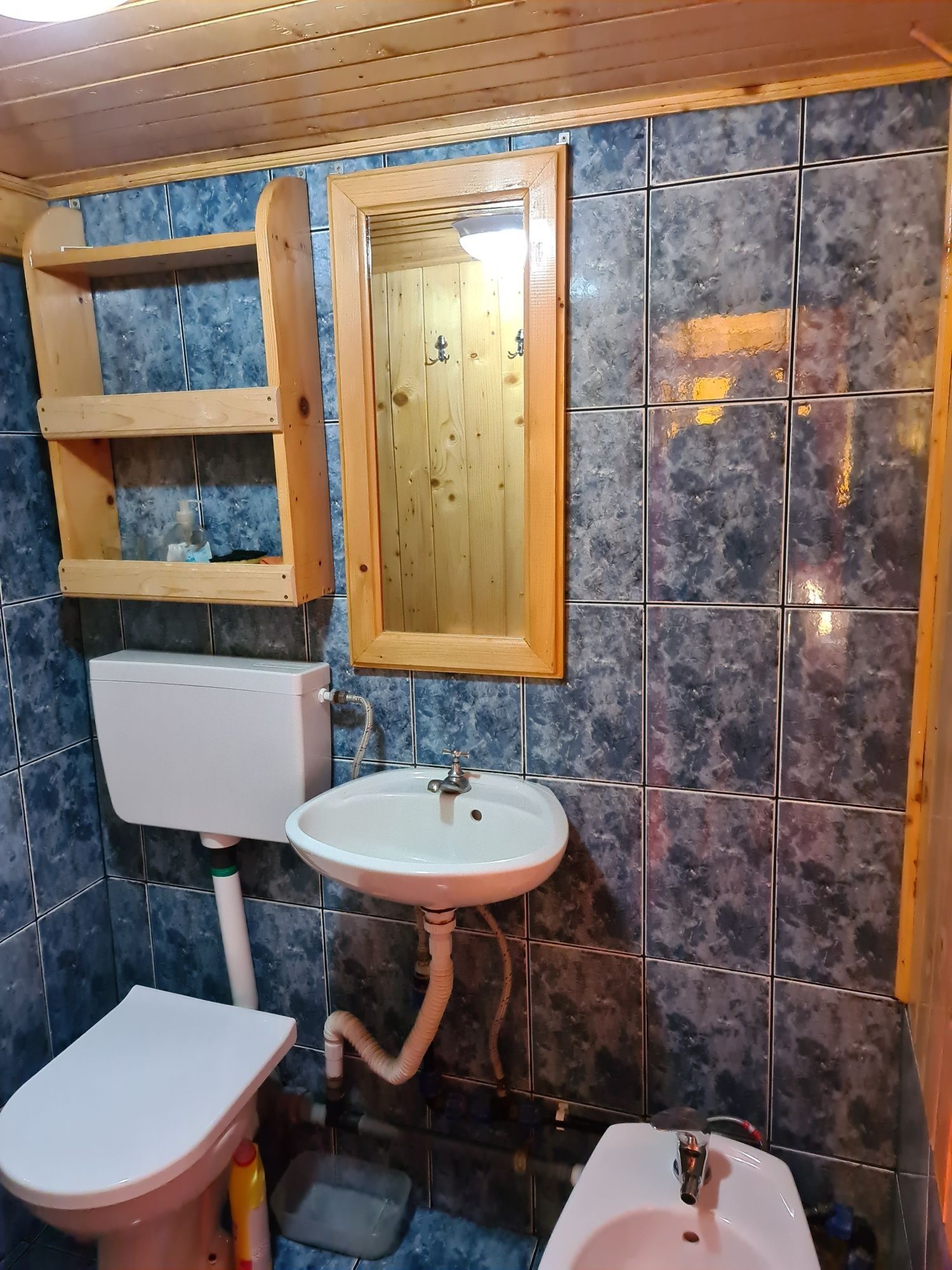 Cabana/casa de vacanta, Stanceni Neagra
