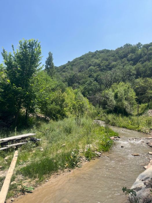 Домик в горах с прикрасным выдом