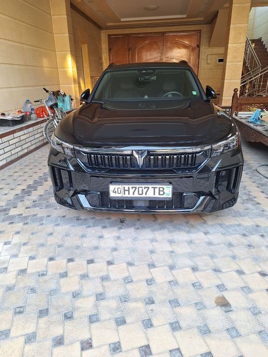 Voyah 2025 фулл.