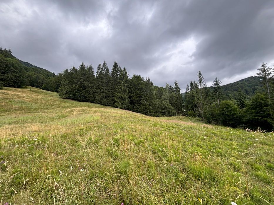 Teren extravilan în loc. Siriu