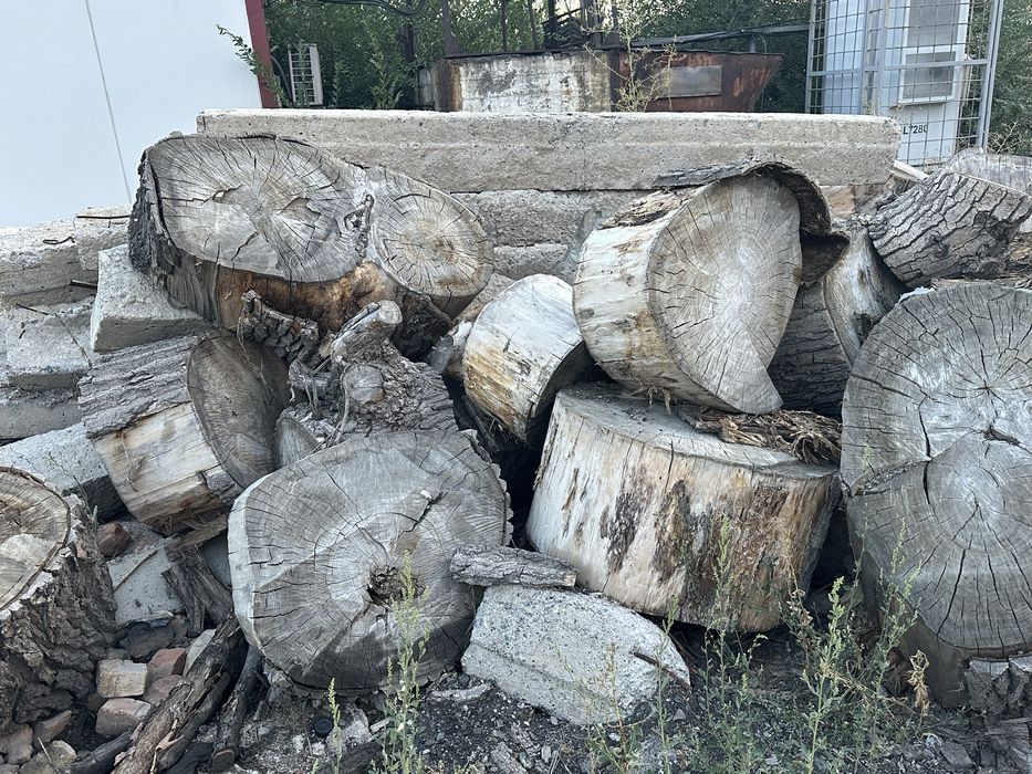 Продам дрова сухие