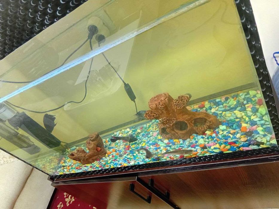 Akvarium 250 litr