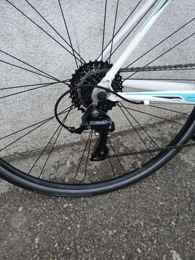 Cursiera Bianchi