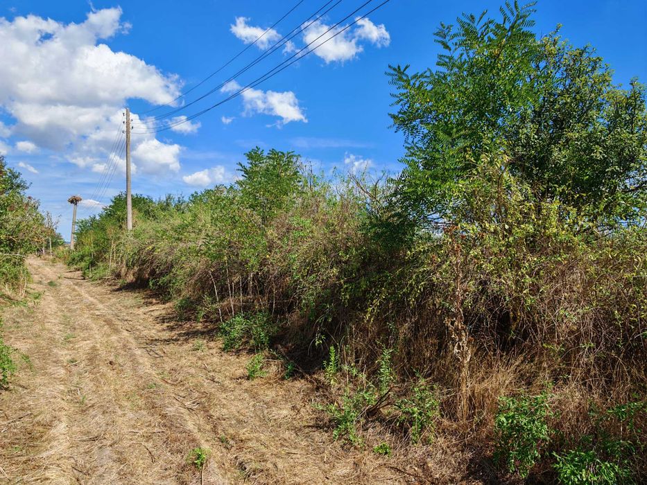 Продава се Парцел в с. Маленово, Област Ямбол - 2000 кв.м за 2 €/кв.м - Снимка #2