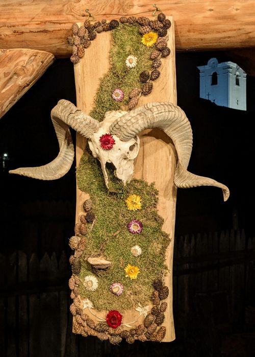 Decor perete din mușchi natrual