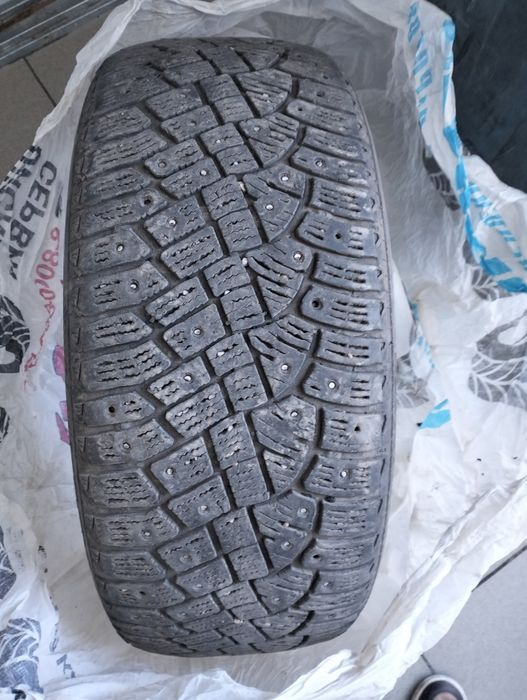 Шины шипованная Continental