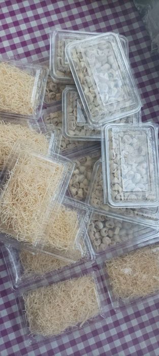 Чучавача кулда тугилган