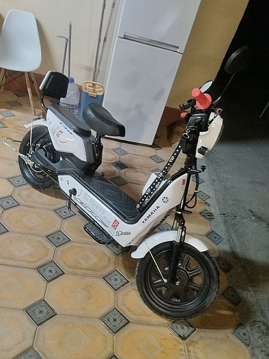 Продам лелпарда