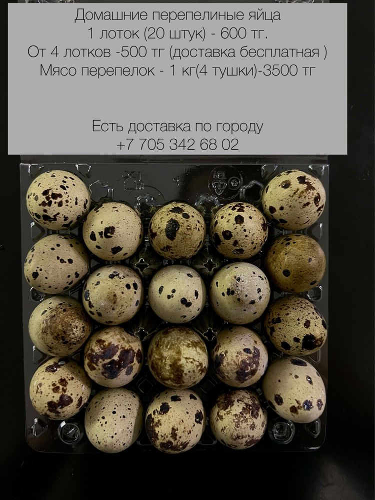 Домашние перепелиные яйца